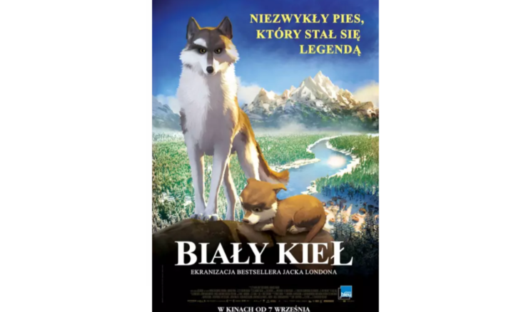 Biały kieł